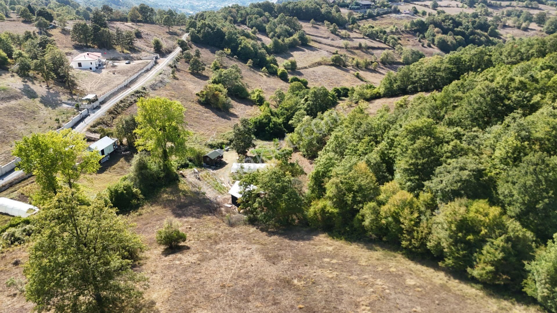 Gebze Ahatlı Da 1986 M2 Satılık Parsel - Görsel 5