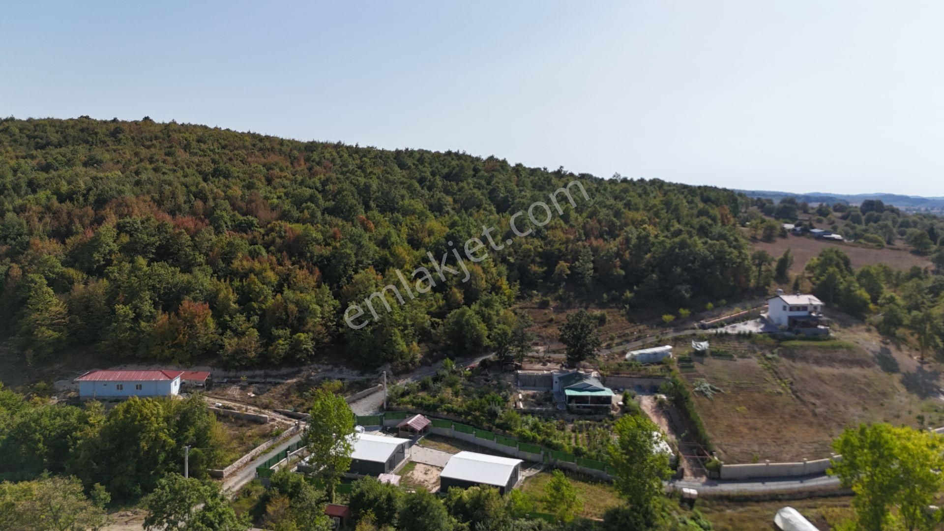 Gebze Ahatlı Da 1986 M2 Satılık Parsel - Görsel 7