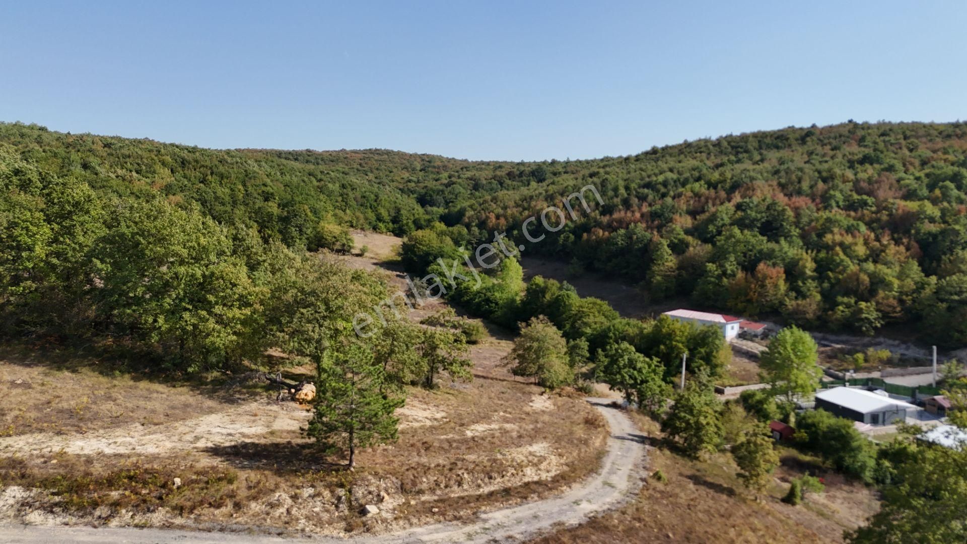 Gebze Ahatlı Da 1986 M2 Satılık Parsel - Görsel 24