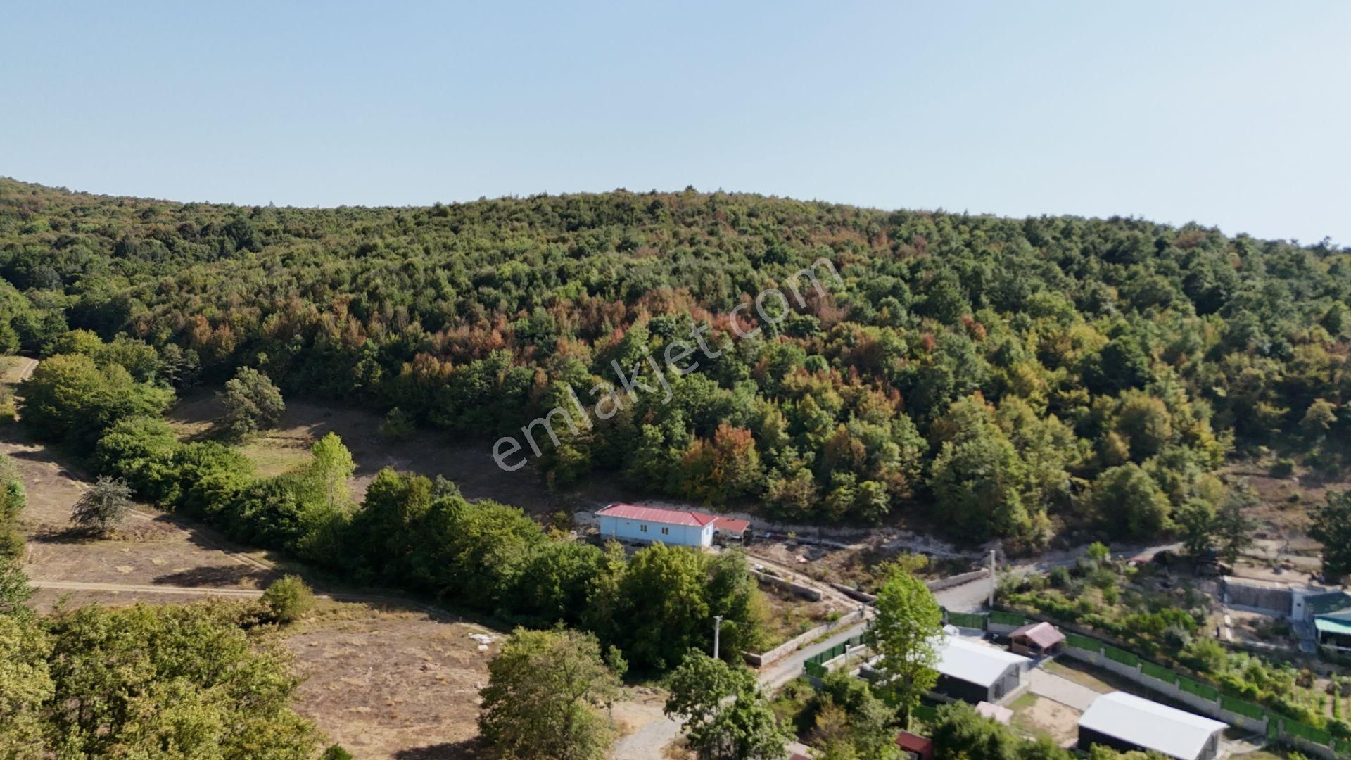 Gebze Ahatlı Da 1986 M2 Satılık Parsel - Görsel 8