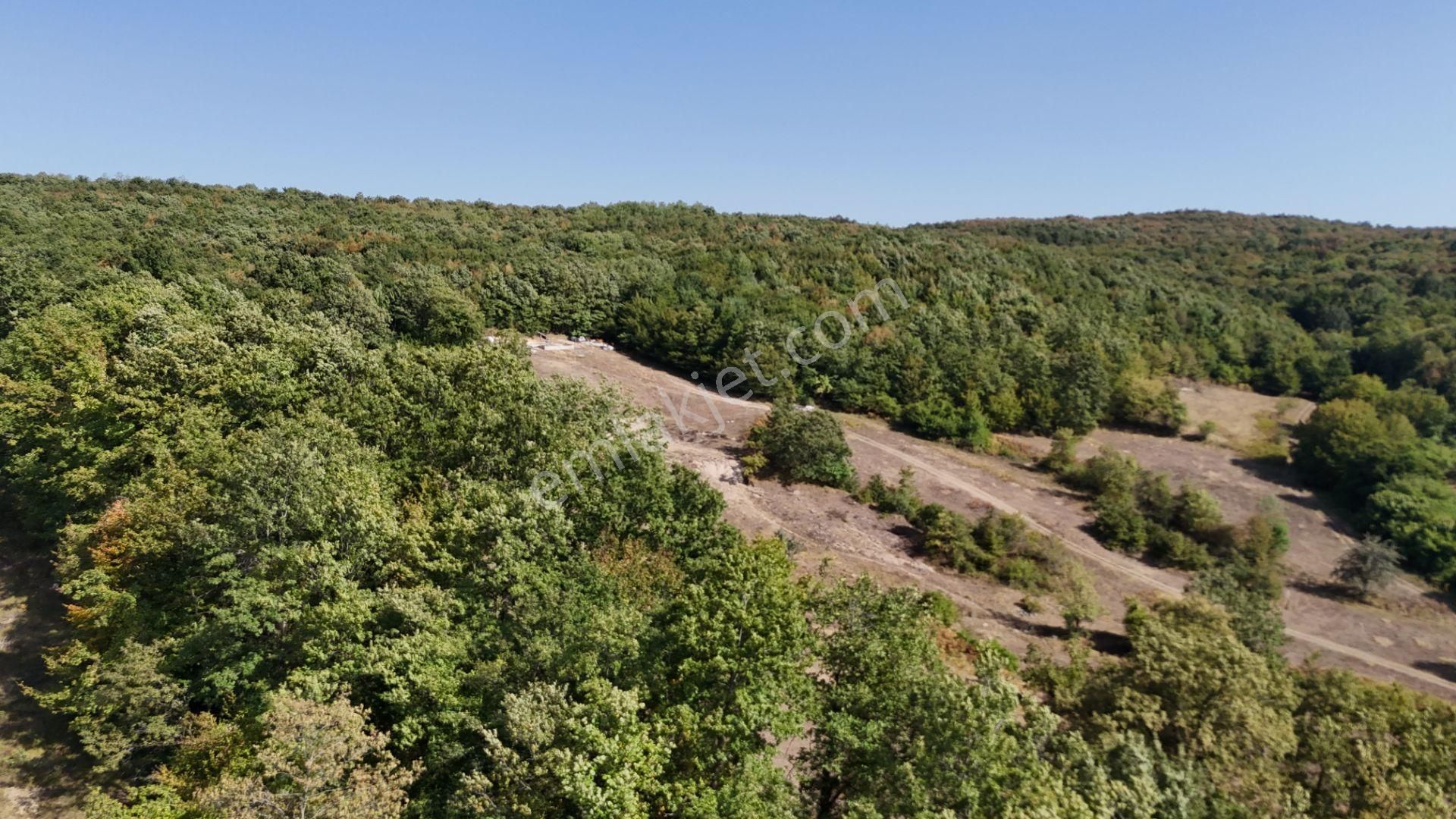 Gebze Ahatlı Da 1986 M2 Satılık Parsel - Görsel 9