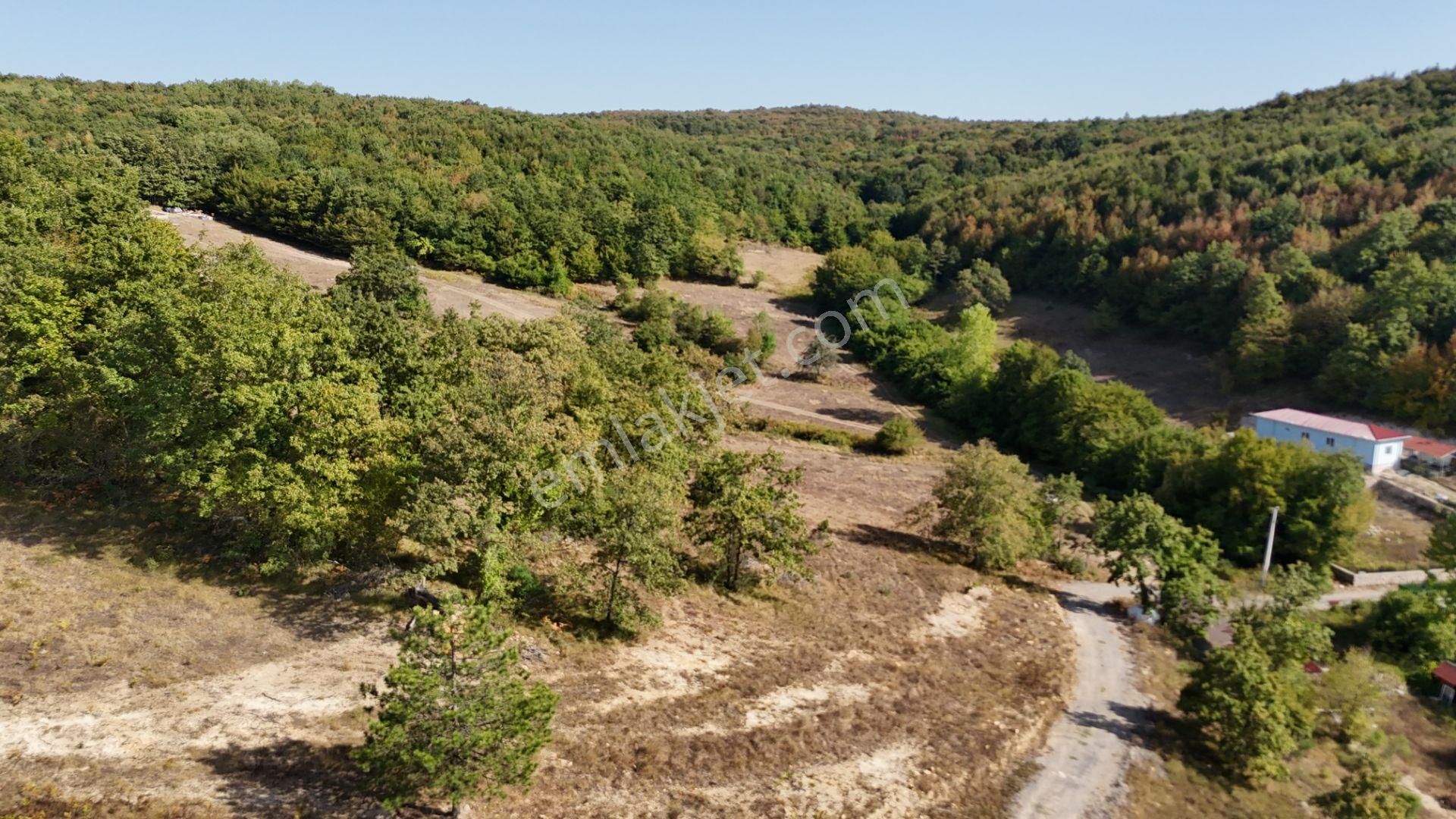 Gebze Ahatlı Da 1986 M2 Satılık Parsel - Görsel 17