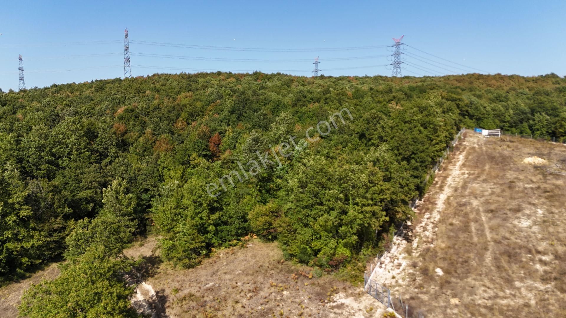 Gebze Ahatlı Da 1986 M2 Satılık Parsel - Görsel 11
