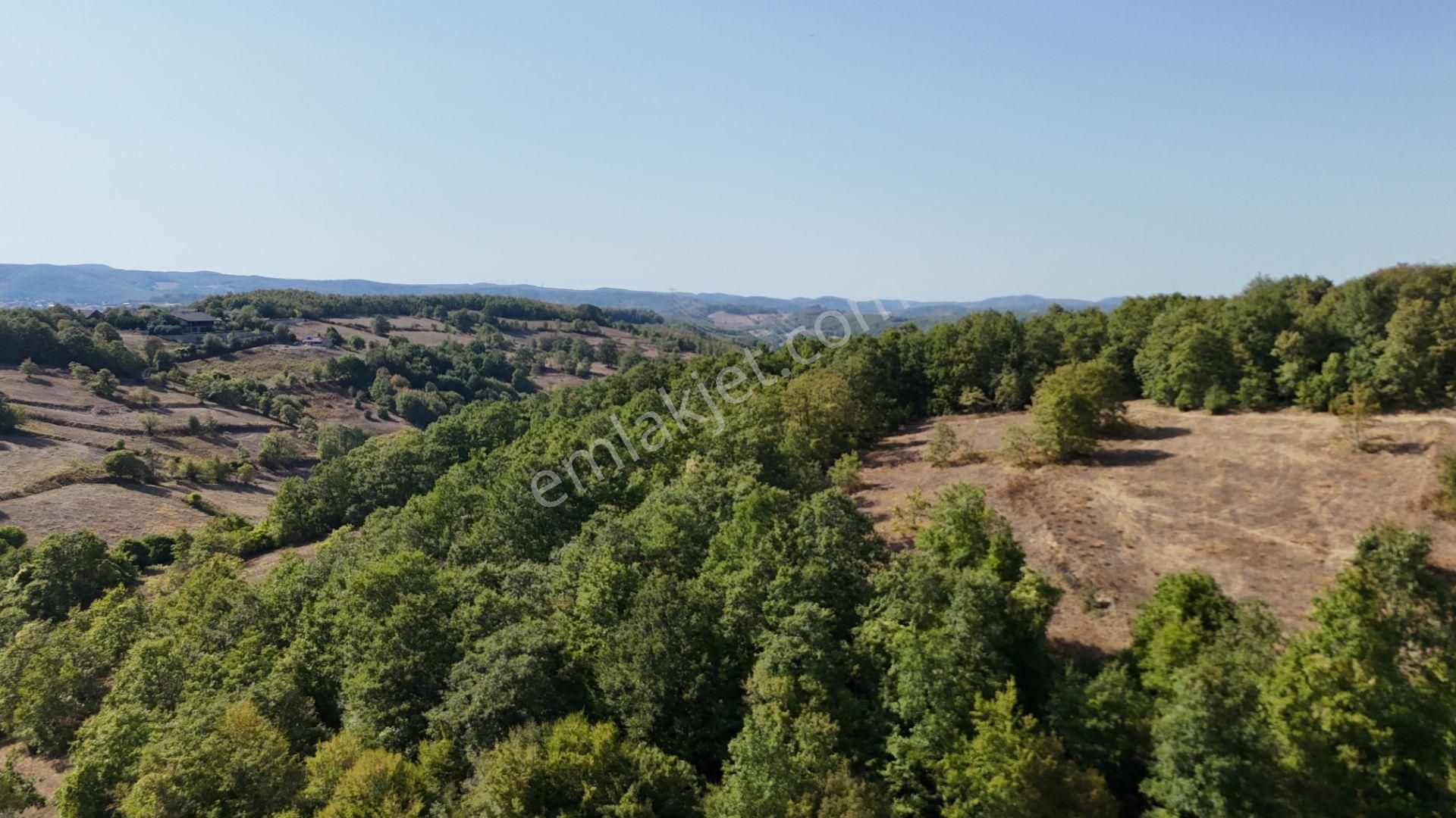 Gebze Ahatlı Da 1986 M2 Satılık Parsel - Görsel 13