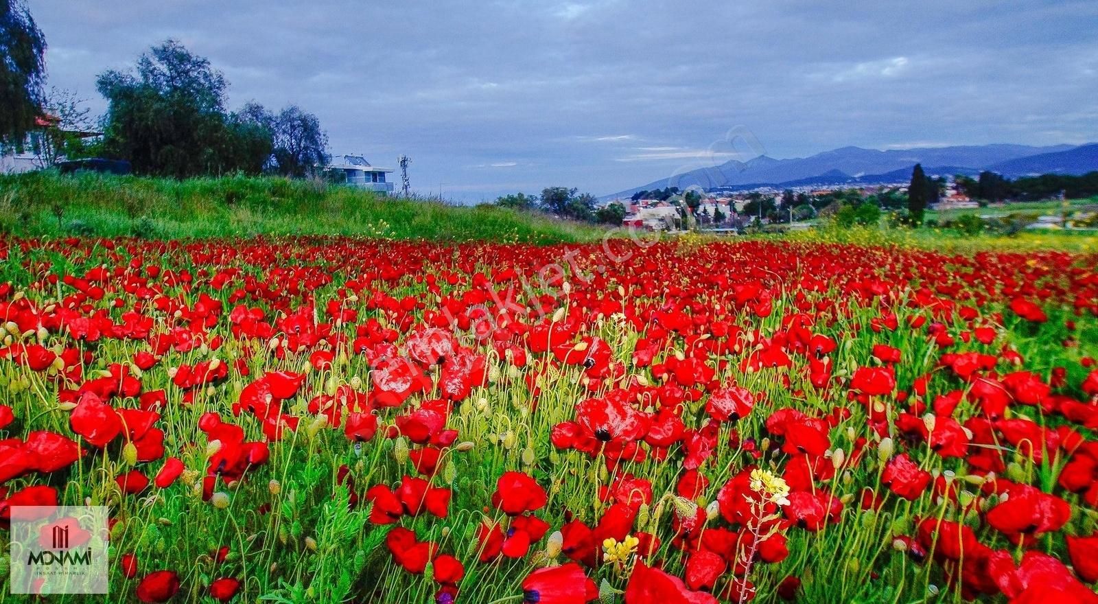 Urla Merkeze 5dk Denize 1dk Tam Müstakil 350m2 Arsalı 0 Villa - Görsel 14