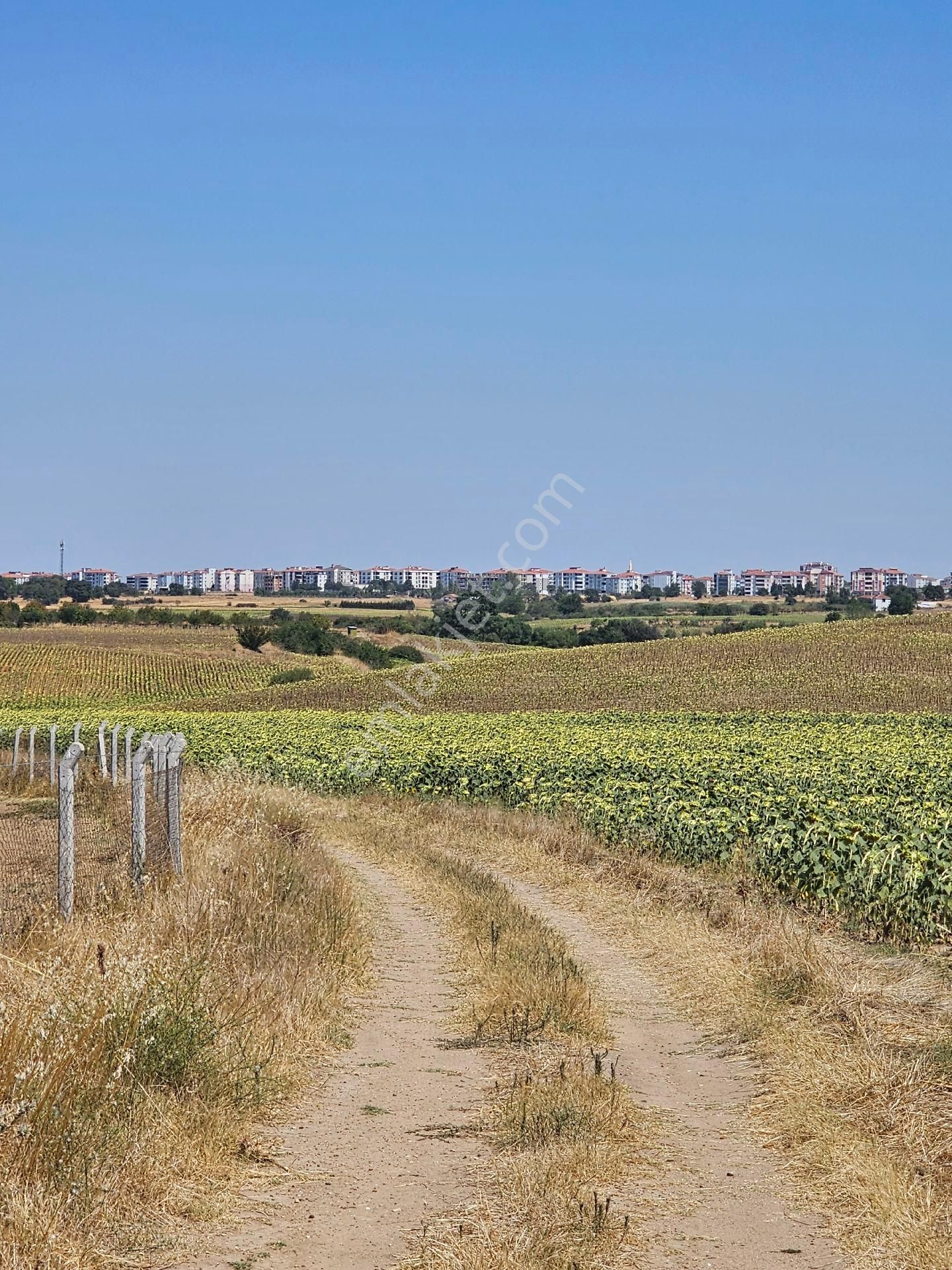Edirne Uzunköprü Satılık Çiftlik Tarla Arsa - Görsel 4