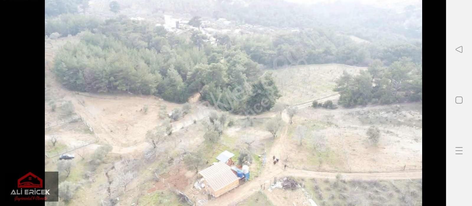 Damlacık Favori Bölgesi Solmaz Da Acil Satılık Arsa