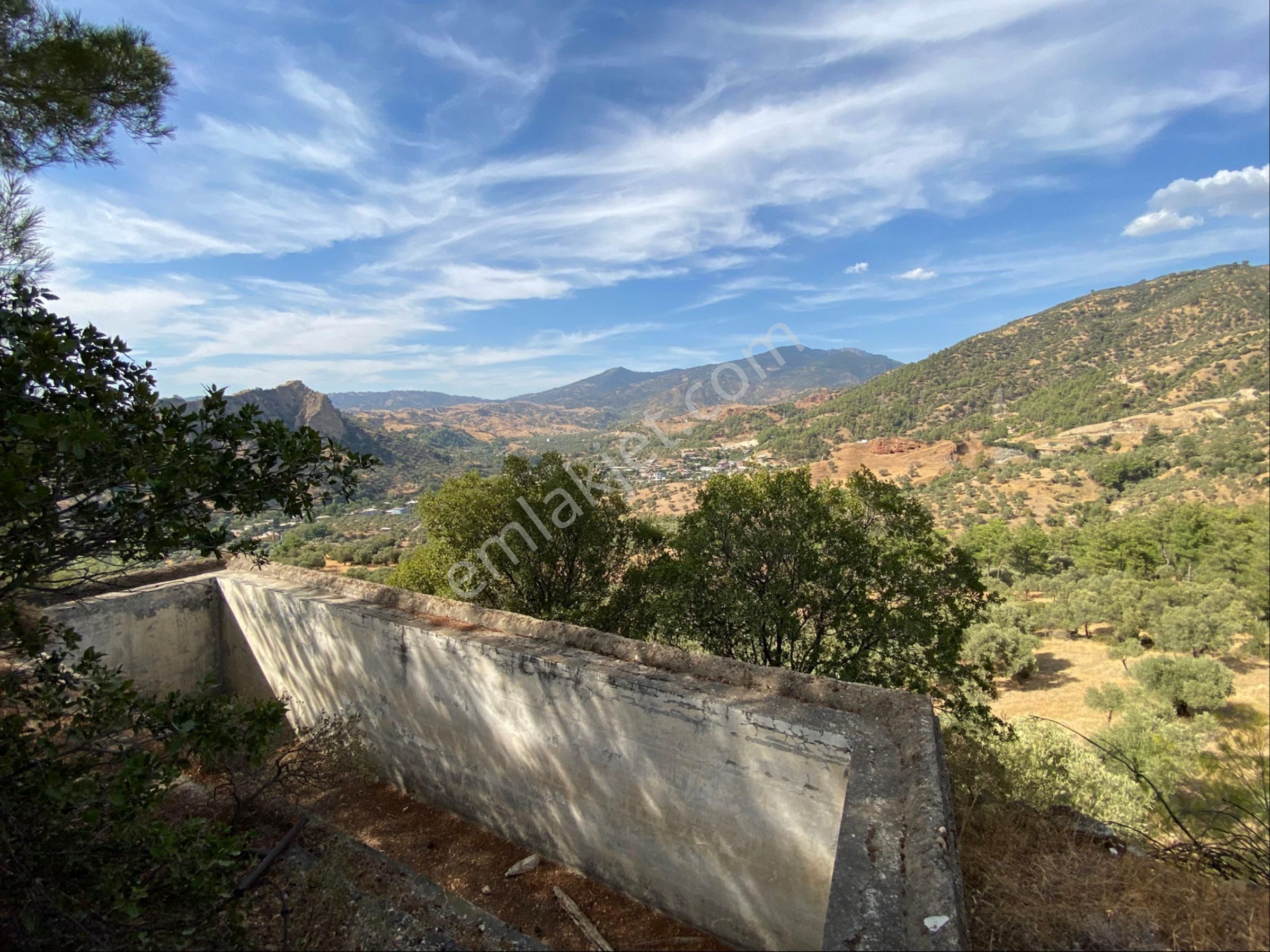 Aydın Kalfaköy'de Satılık Zeytinlik - Görsel 14