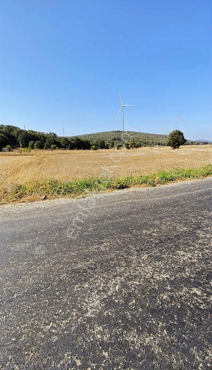 Özdemirden Satılık Tek Tapu Tarla