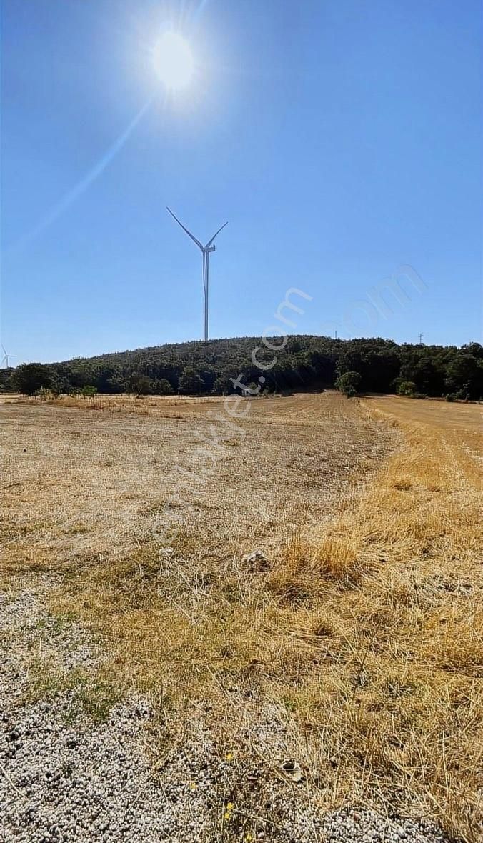 Özdemirden Satılık Tek Tapu Tarla - Görsel 3