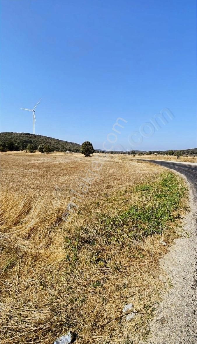 Özdemirden Satılık Tek Tapu Tarla - Görsel 5