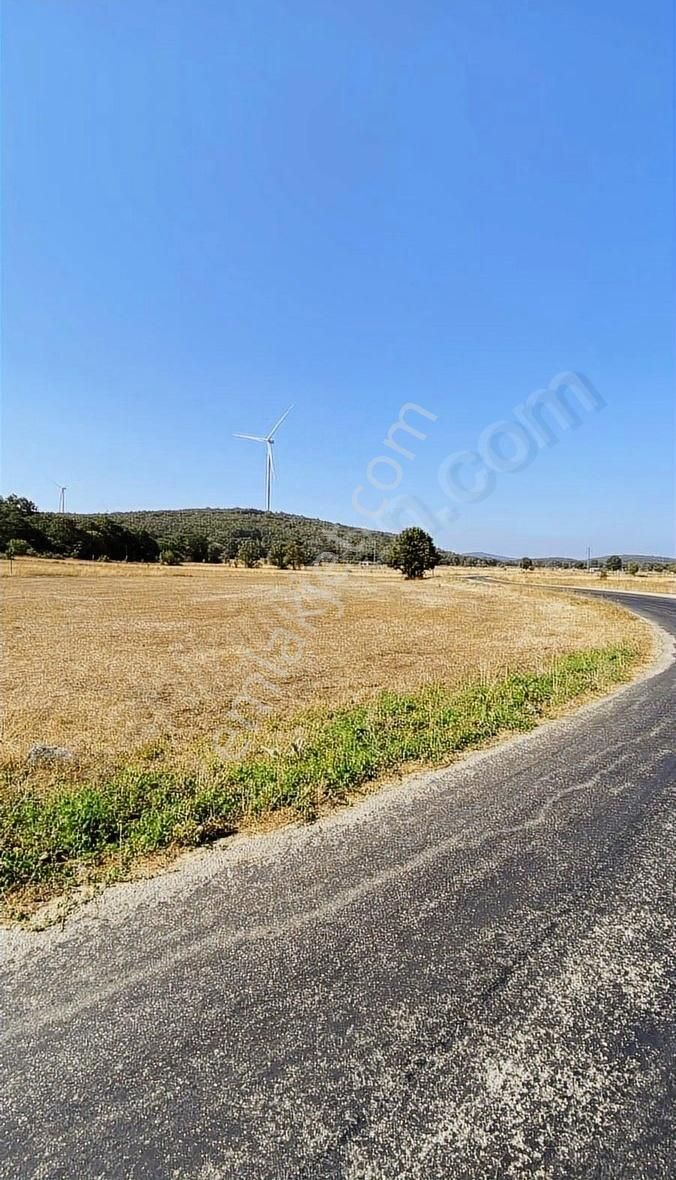 Özdemirden Satılık Tek Tapu Tarla - Görsel 2