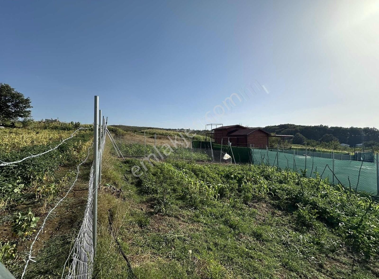 Özdemır Gayrımenkul'den Satılık Hobı Bahçesı - Görsel 14