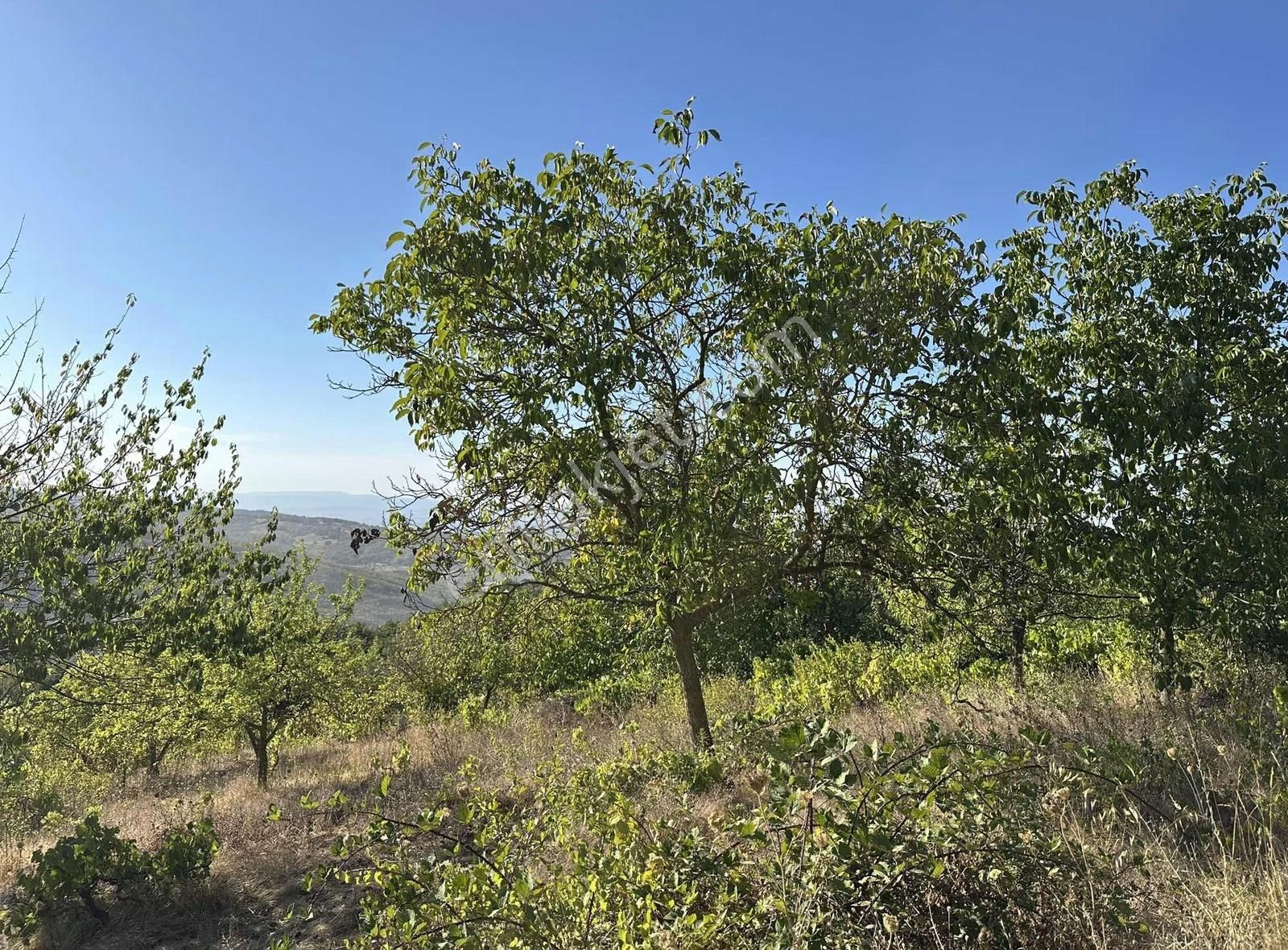 Özdemirden Nilüfer Güngörende 144 M2 Acil Satılık - Görsel 10