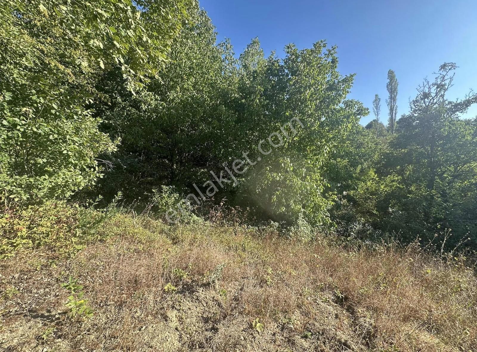 Özdemirden Nilüfer Güngörende 144 M2 Acil Satılık - Görsel 8