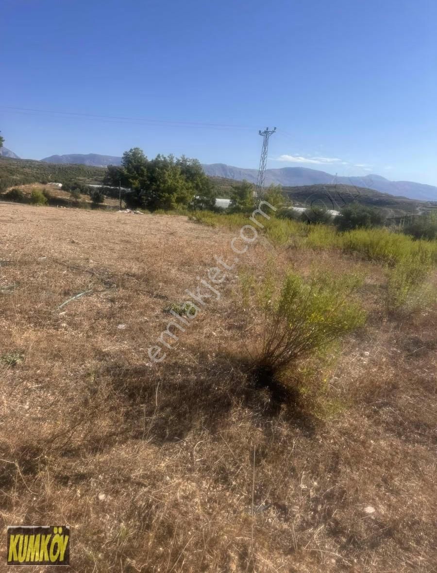 Bucakşeyhler Mah 1500 M2 Yerleşim Alanına Yakın Yerimiz Satılık - Görsel 2