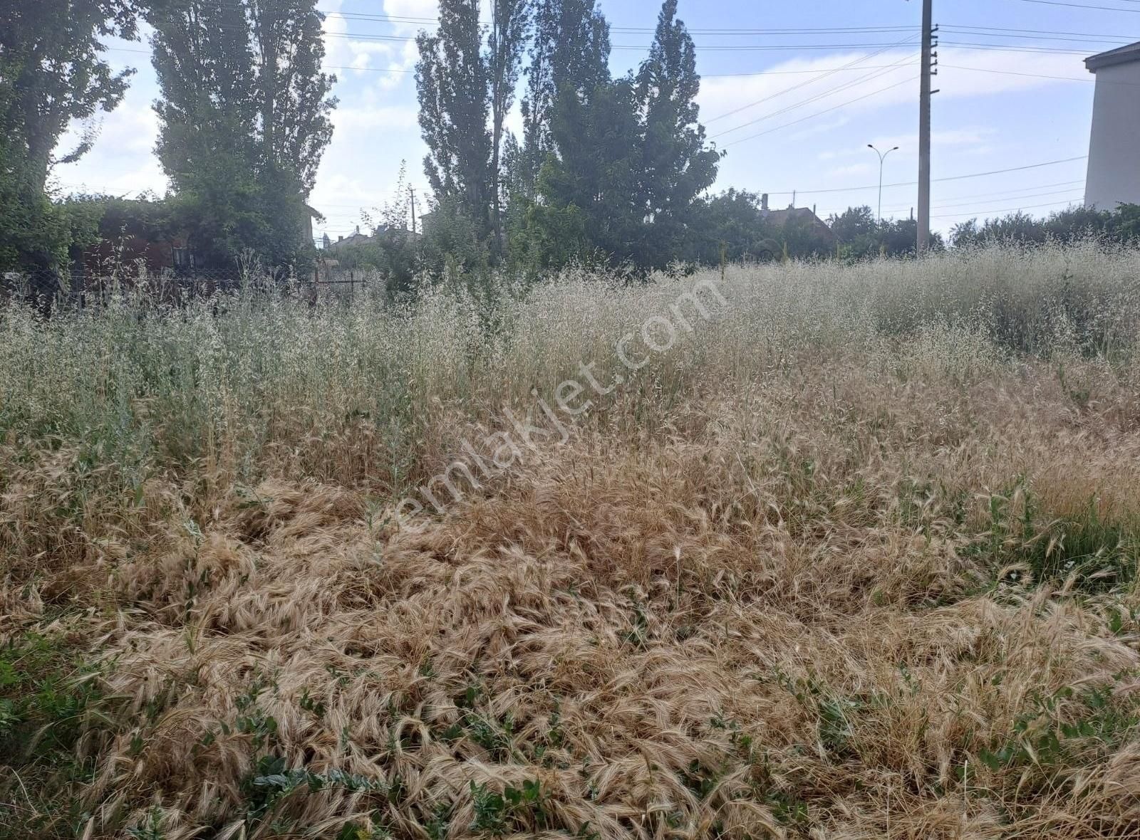 Konya Seydişehir Usanmaz Emlak Tan Ulukapı Mustakil Ev 4+1 Satıl - Görsel 19