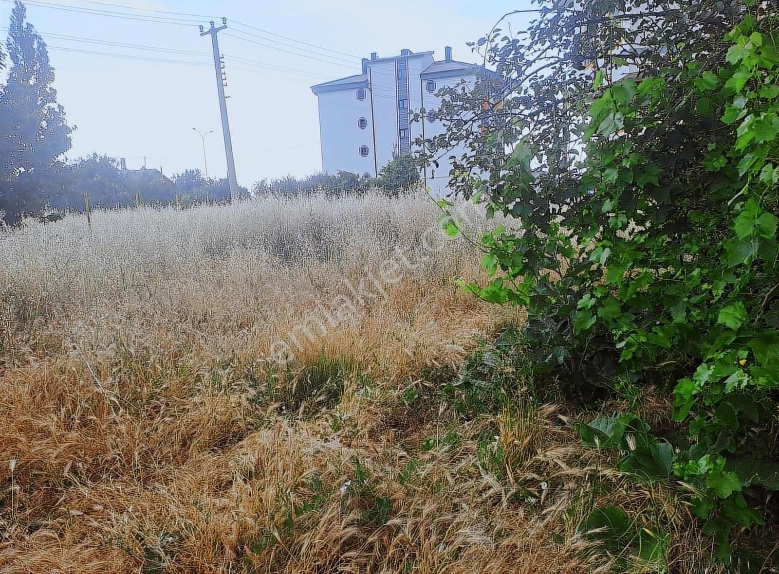 Konya Seydişehir Usanmaz Emlak Tan Ulukapı Mustakil Ev 4+1 Satıl - Görsel 24