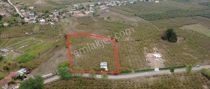 Başdekor Gayrimenkul'den Satılık 7.837 M2 Arazi Hendek/uzunçarşı