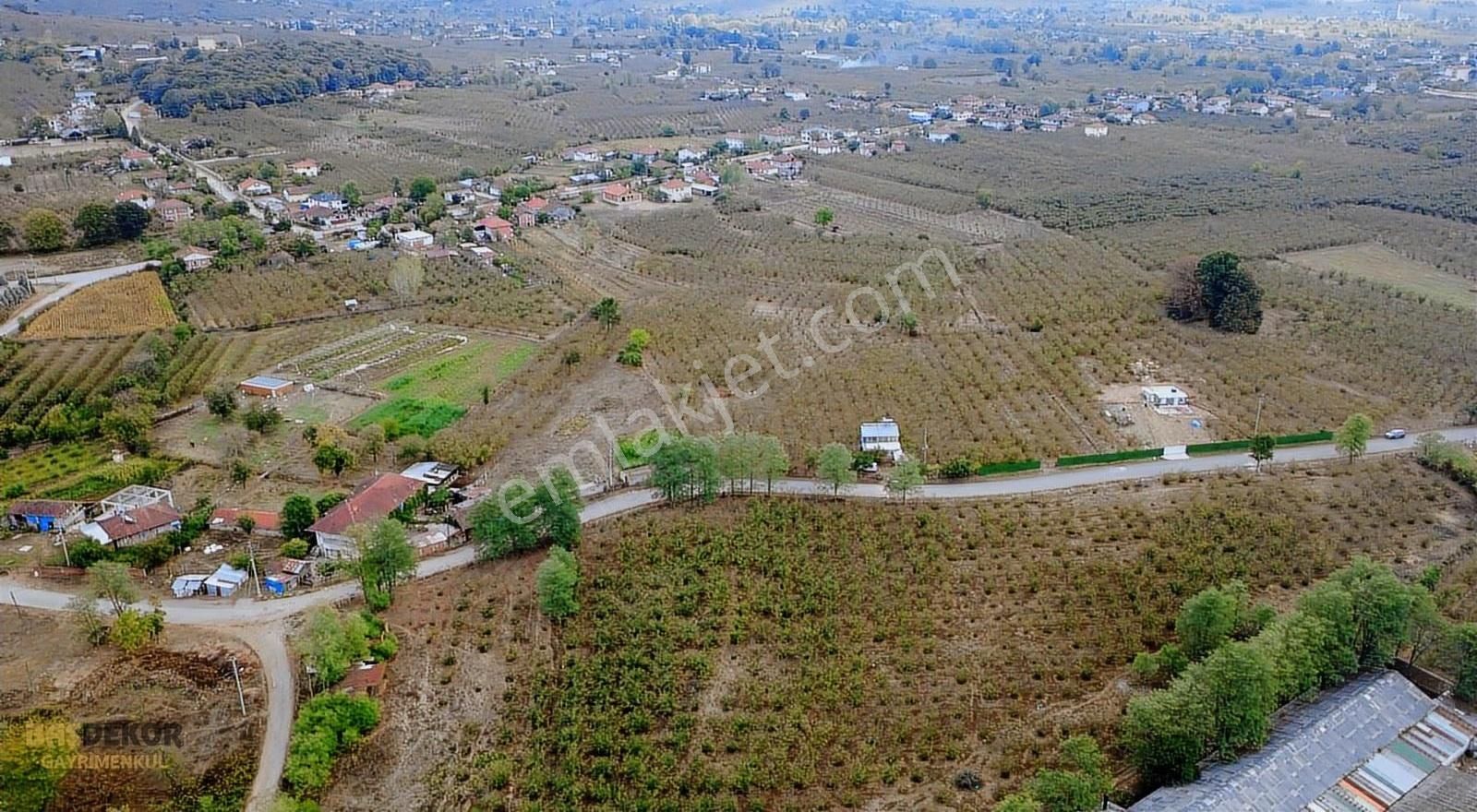 Başdekor Gayrimenkul'den Satılık 7.837 M2 Arazi Hendek/uzunçarşı - Görsel 12