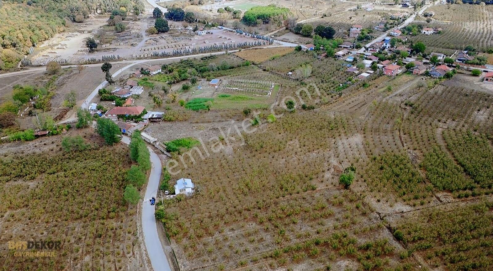 Başdekor Gayrimenkul'den Satılık 7.837 M2 Arazi Hendek/uzunçarşı - Görsel 14