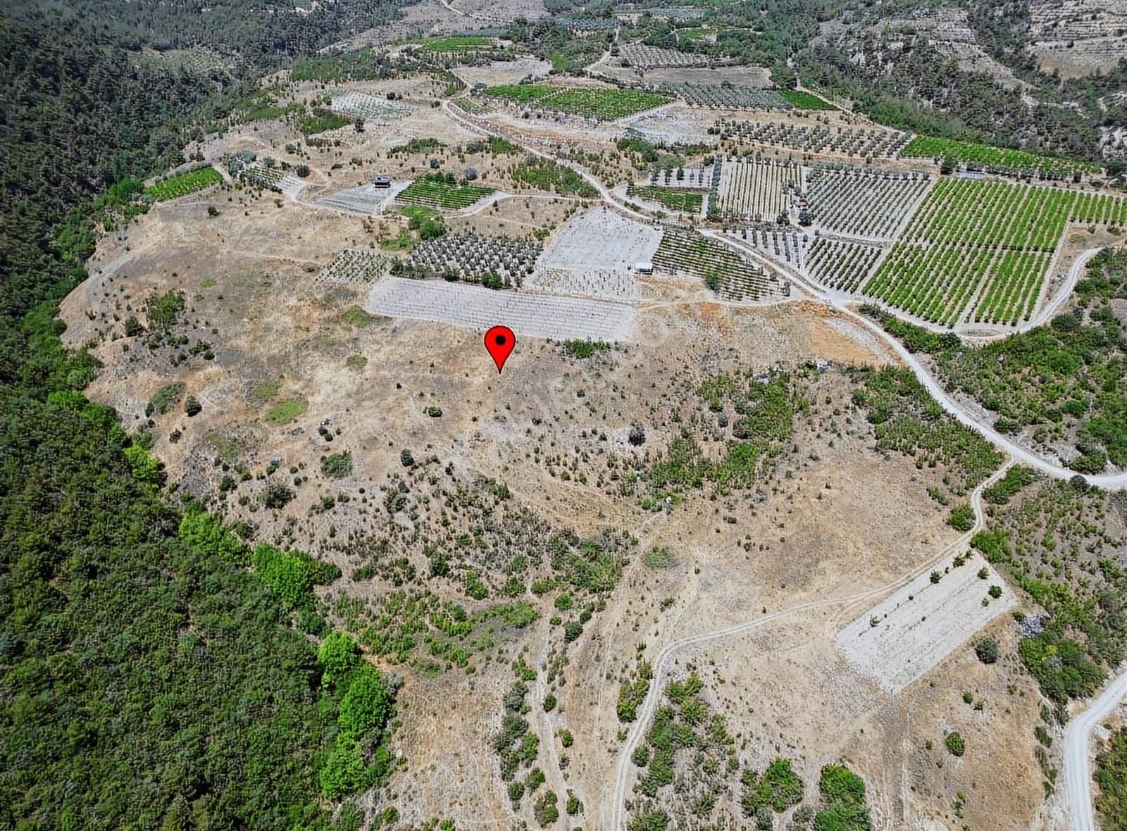 Mert Gayrimenkul'den Şeyhvarmaz Mahallesi'nde Yatırım Tarla. - Görsel 8