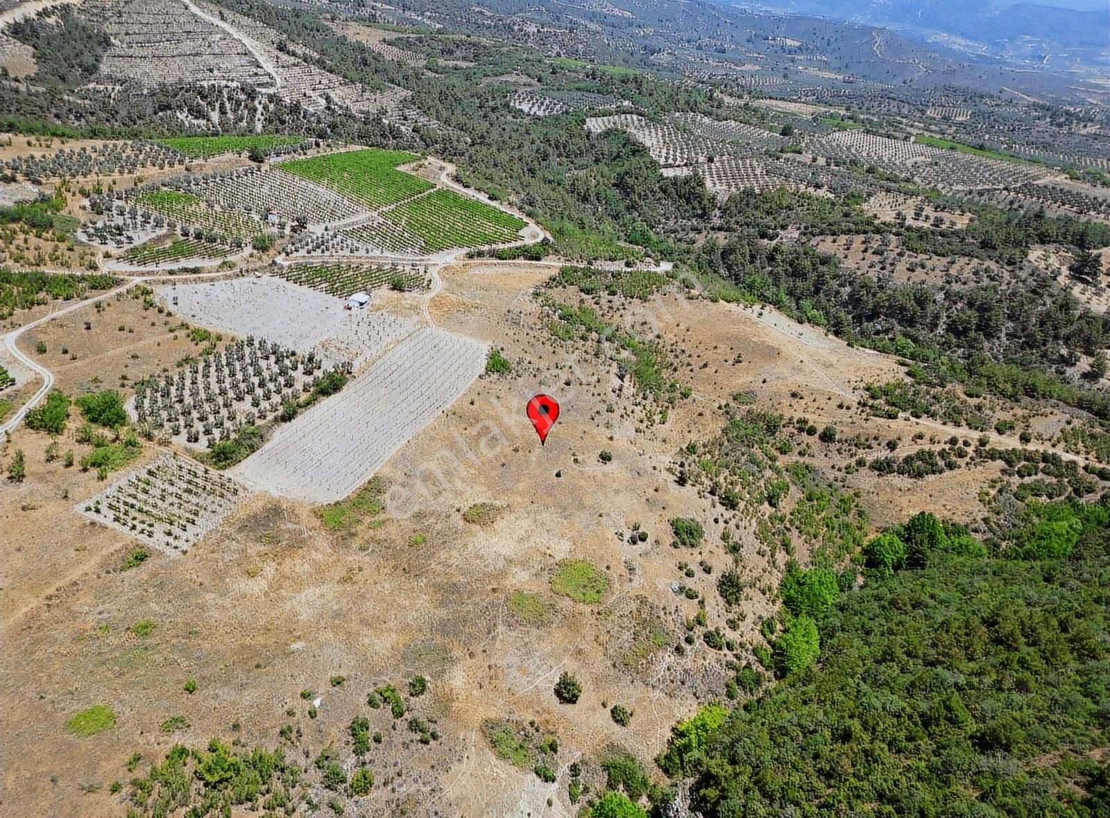 Mert Gayrimenkul'den Şeyhvarmaz Mahallesi'nde Yatırım Tarla. - Görsel 6