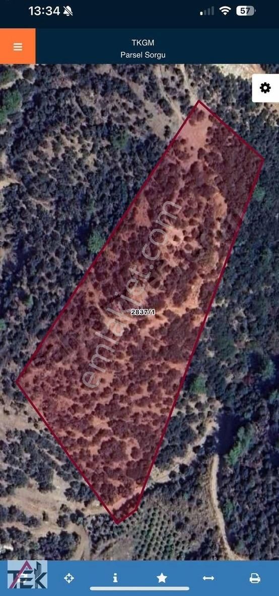 Menderes Gümüldürde Deniz Ve Doğa Manzaralı 40 Dönüm Eşsiz Tarla - Görsel 3