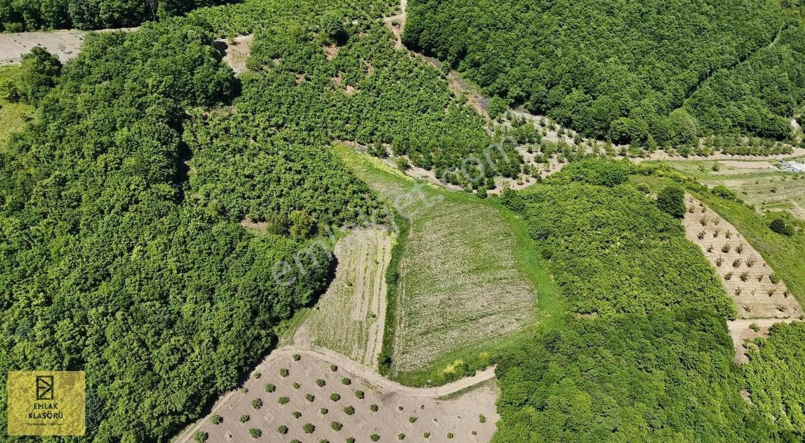 Yatırıma Uygun, Göl Manzaralı, Müstakil Tapulu Tarla! - Görsel 4