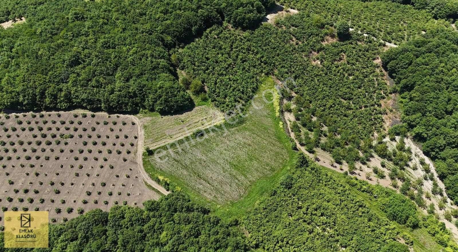 Yatırıma Uygun, Göl Manzaralı, Müstakil Tapulu Tarla! - Görsel 6