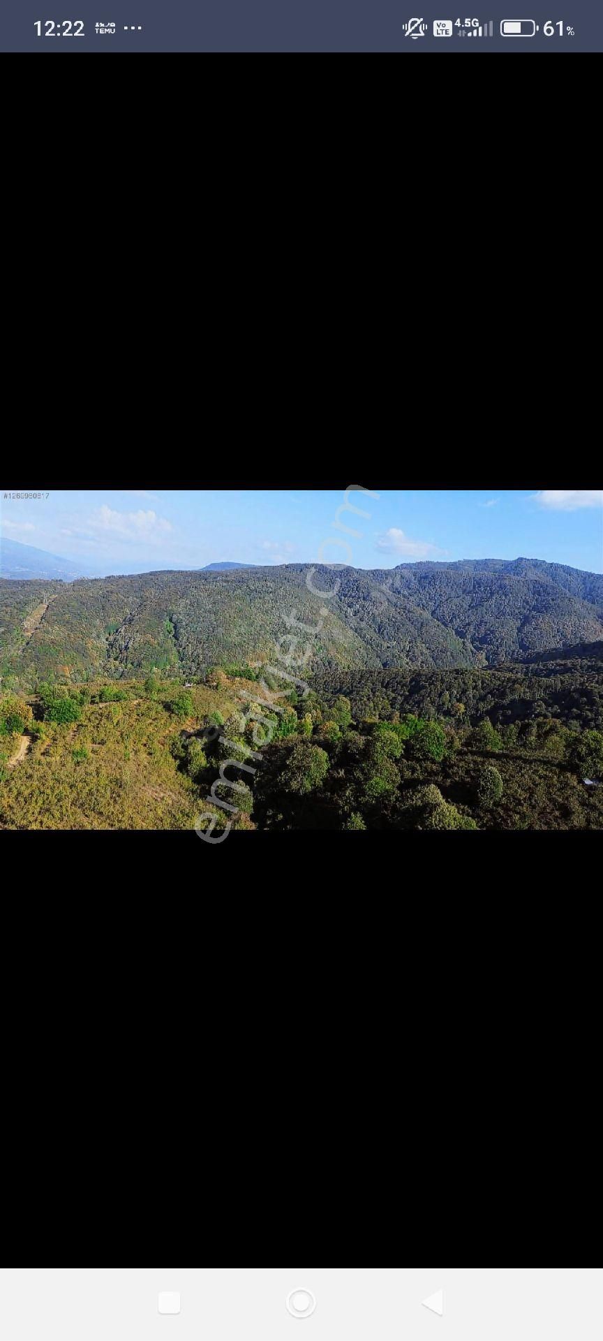 Yön Group'tan Ahmediye'de Satılık Fındık Bahçesi - Görsel 7