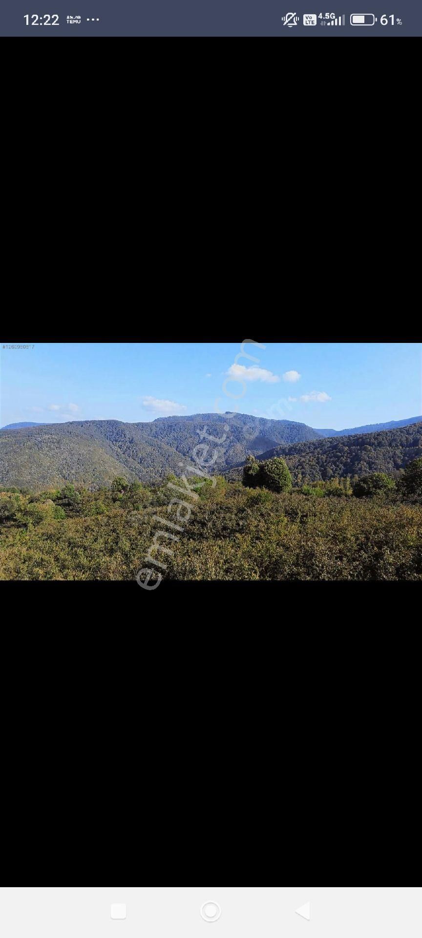 Yön Group'tan Ahmediye'de Satılık Fındık Bahçesi - Görsel 4