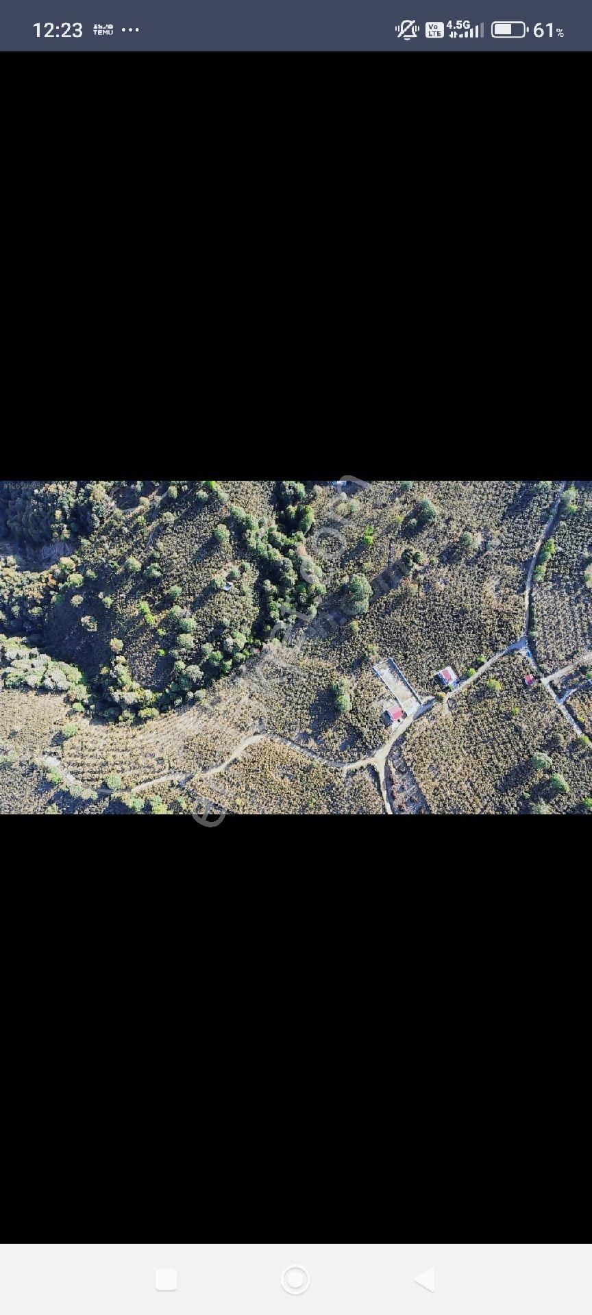 Yön Group'tan Ahmediye'de Satılık Fındık Bahçesi - Görsel 2