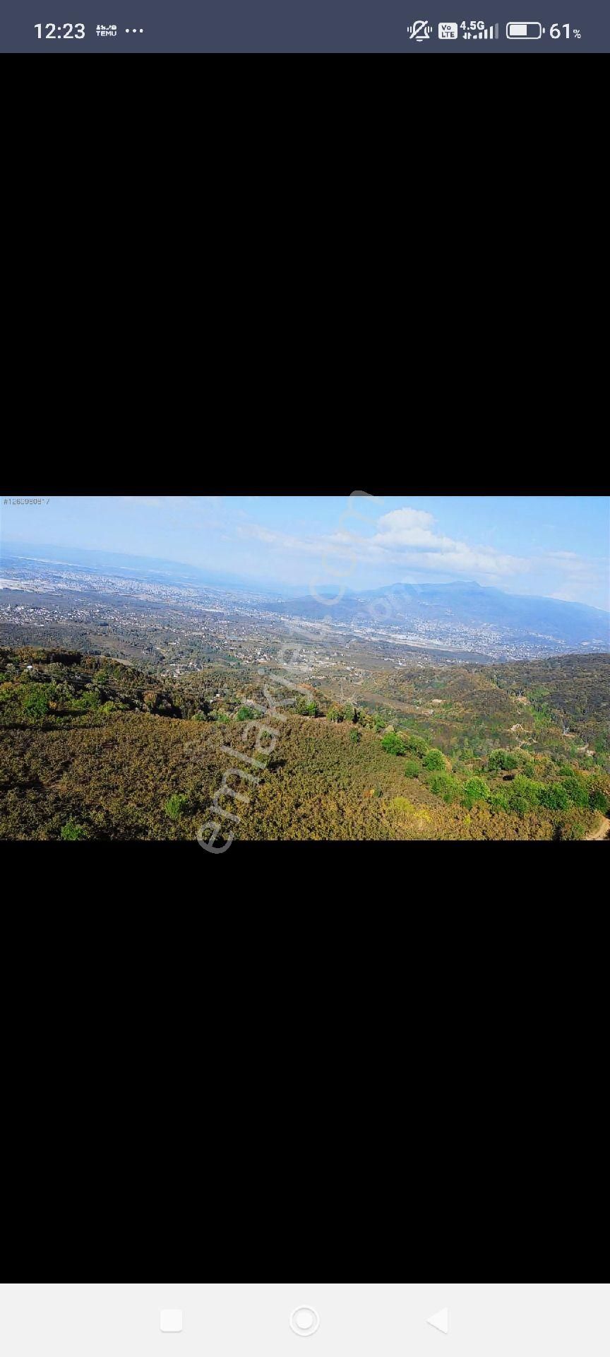 Yön Group'tan Ahmediye'de Satılık Fındık Bahçesi