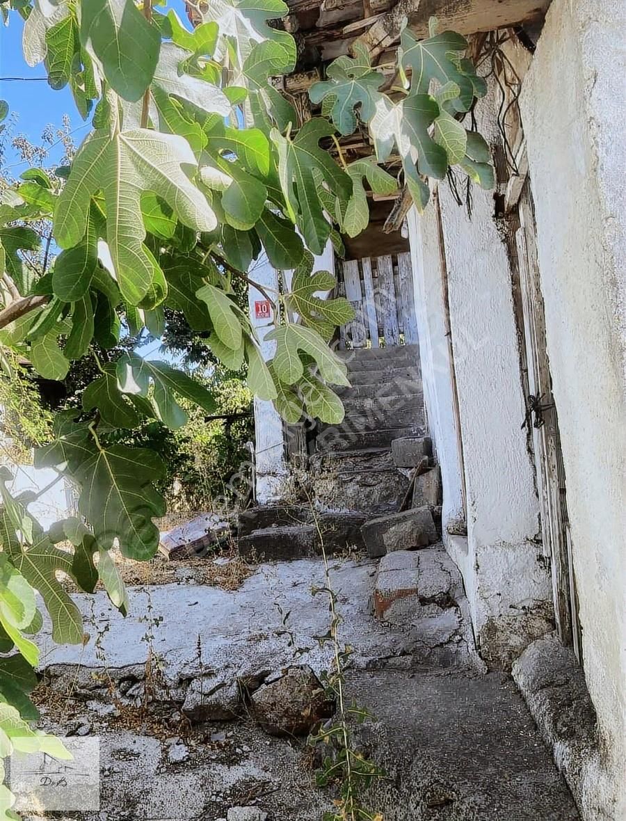 Satılık Köy Evi - Görsel 2