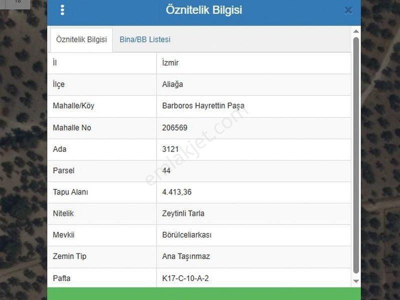Bülent Ateşci'den Hisseli Zeytinli Tarla - Görsel 2