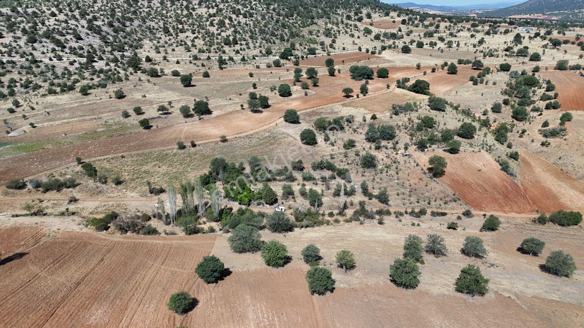 Konya / Güneysınır / Kurukavak Mahallesinde 2.205 M² Müstakil Tapulu Tarla - Görsel 8