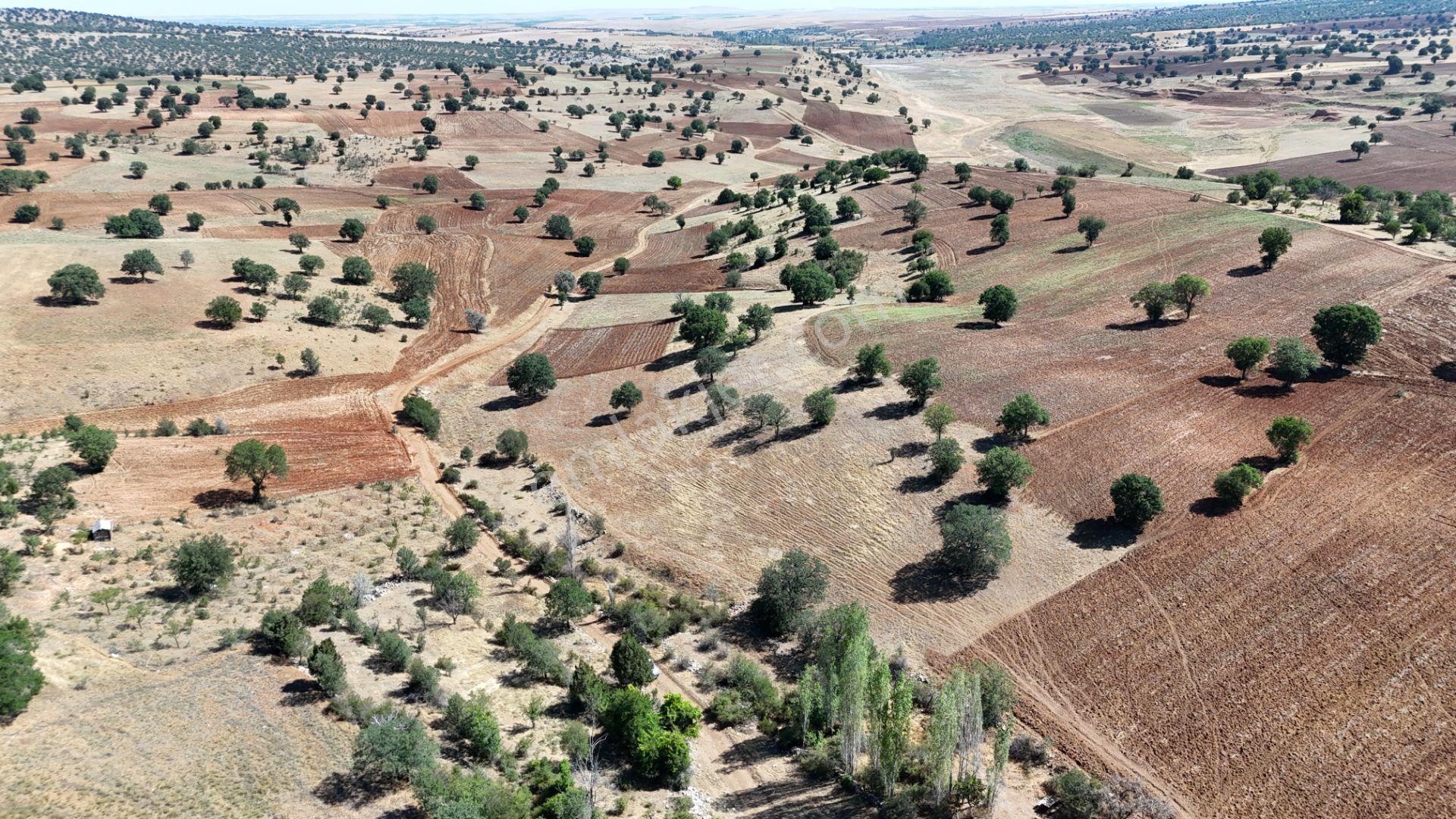 Konya / Güneysınır / Kurukavak Mahallesinde 2.205 M² Müstakil Tapulu Tarla - Görsel 5