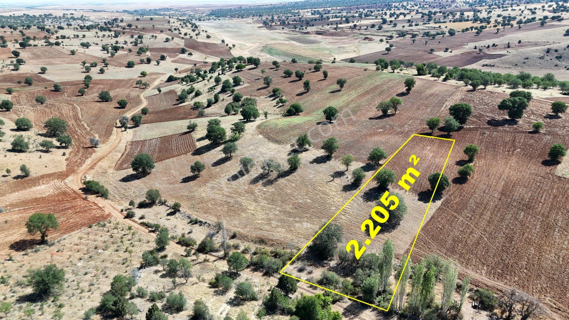 Konya / Güneysınır / Kurukavak Mahallesinde 2.205 M² Müstakil Tapulu Tarla