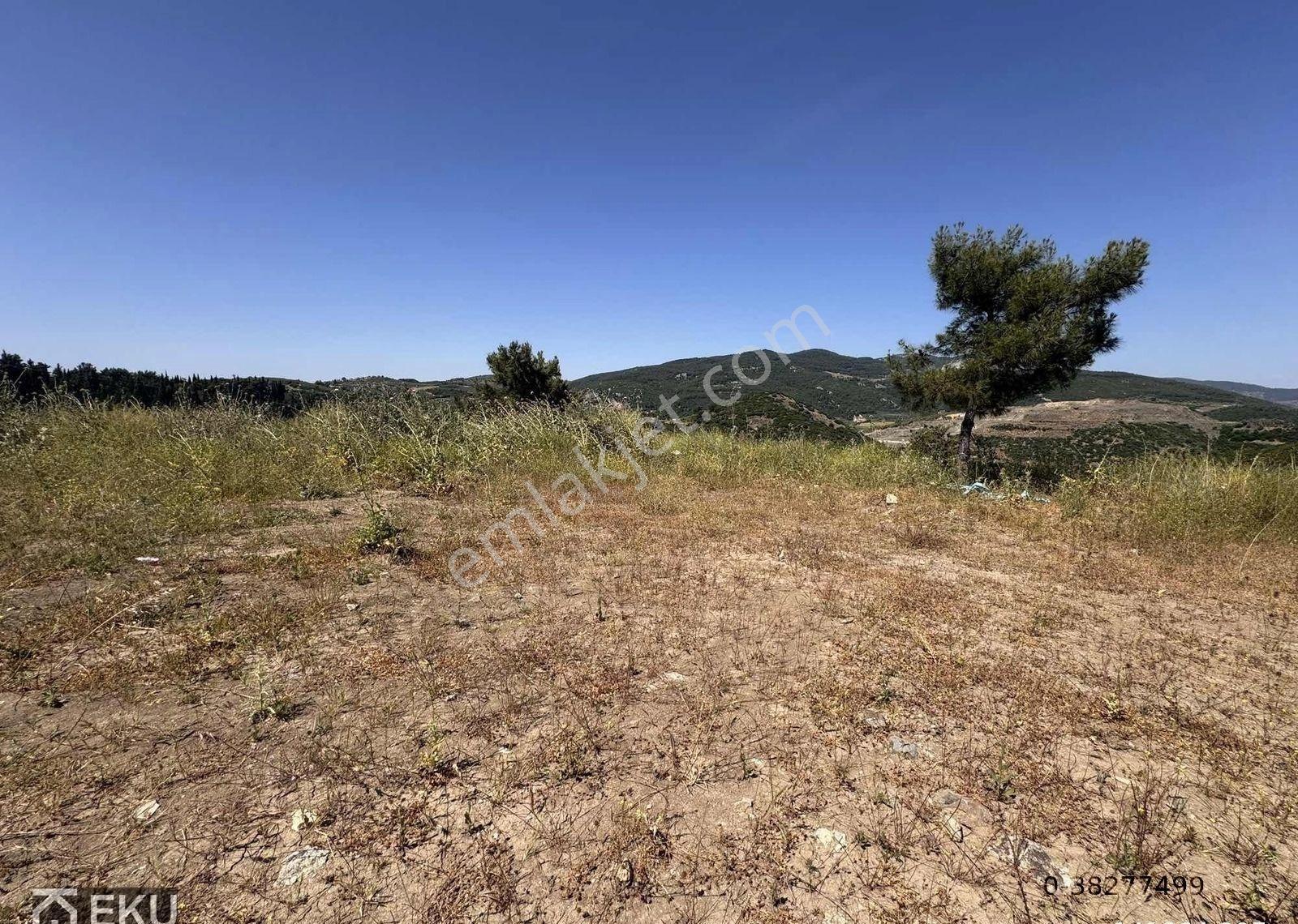 Söke Ağaçlı Golf Resort De Satılık İmarlı Arsalar - Görsel 2