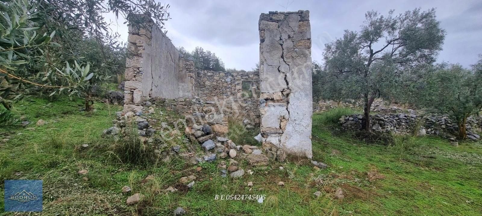 Milas Ulaş İçinde Ev Ve Ahır Kayıtlı 7.750m2 Arazi - Görsel 8