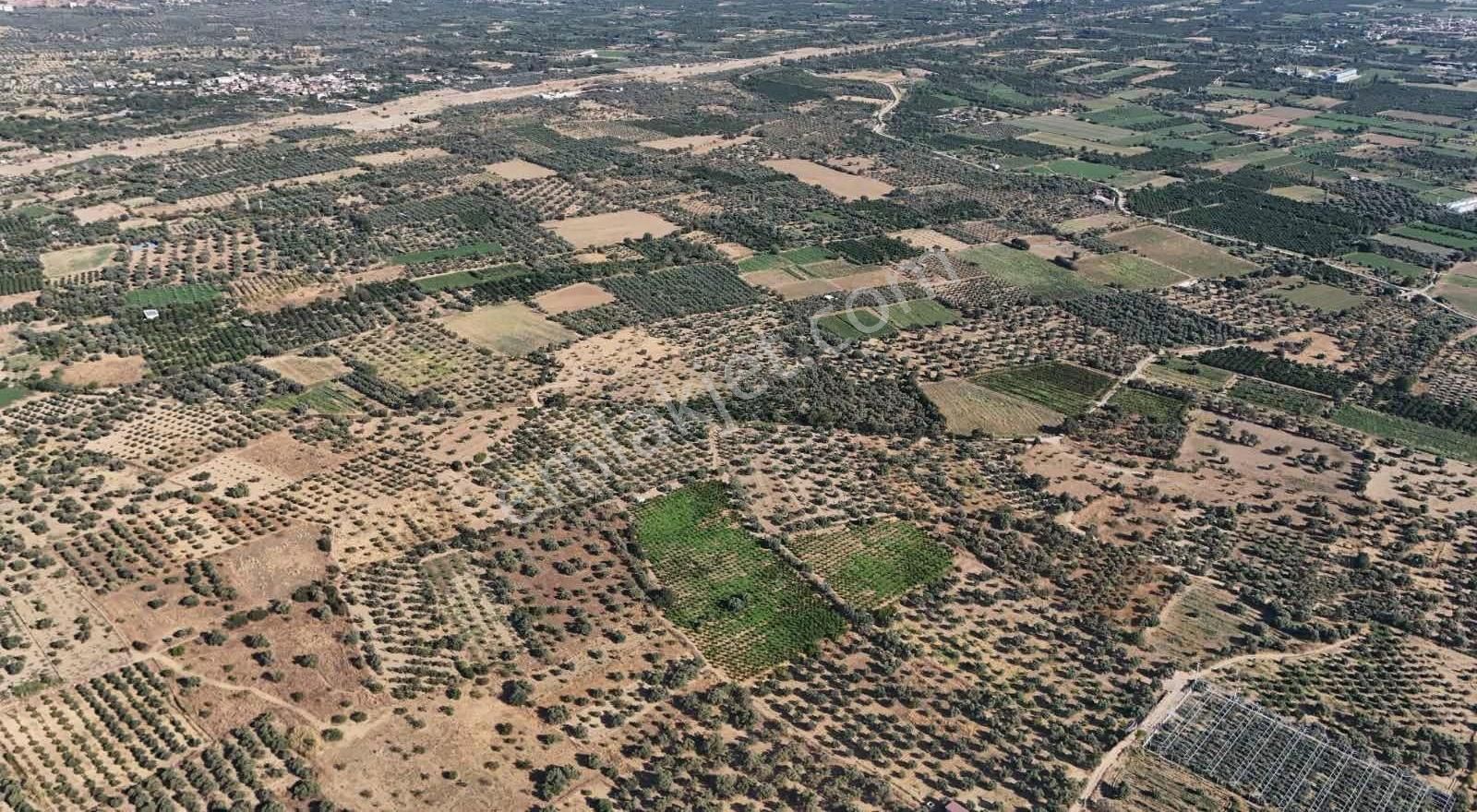 Nazilli Durasıllı Mah. Satılık 26.500 M2 Narlık