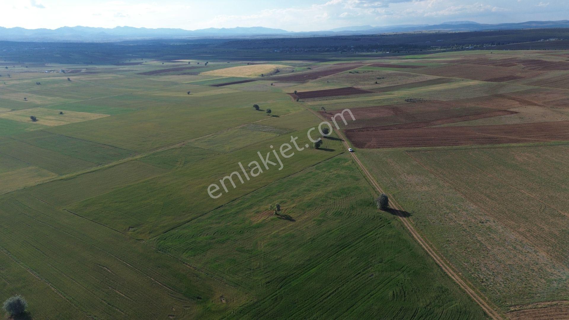 Konya / Akören / Hacılar Mahallesinde 8.892 M² Müstakil Tapulu Tarla - Görsel 20