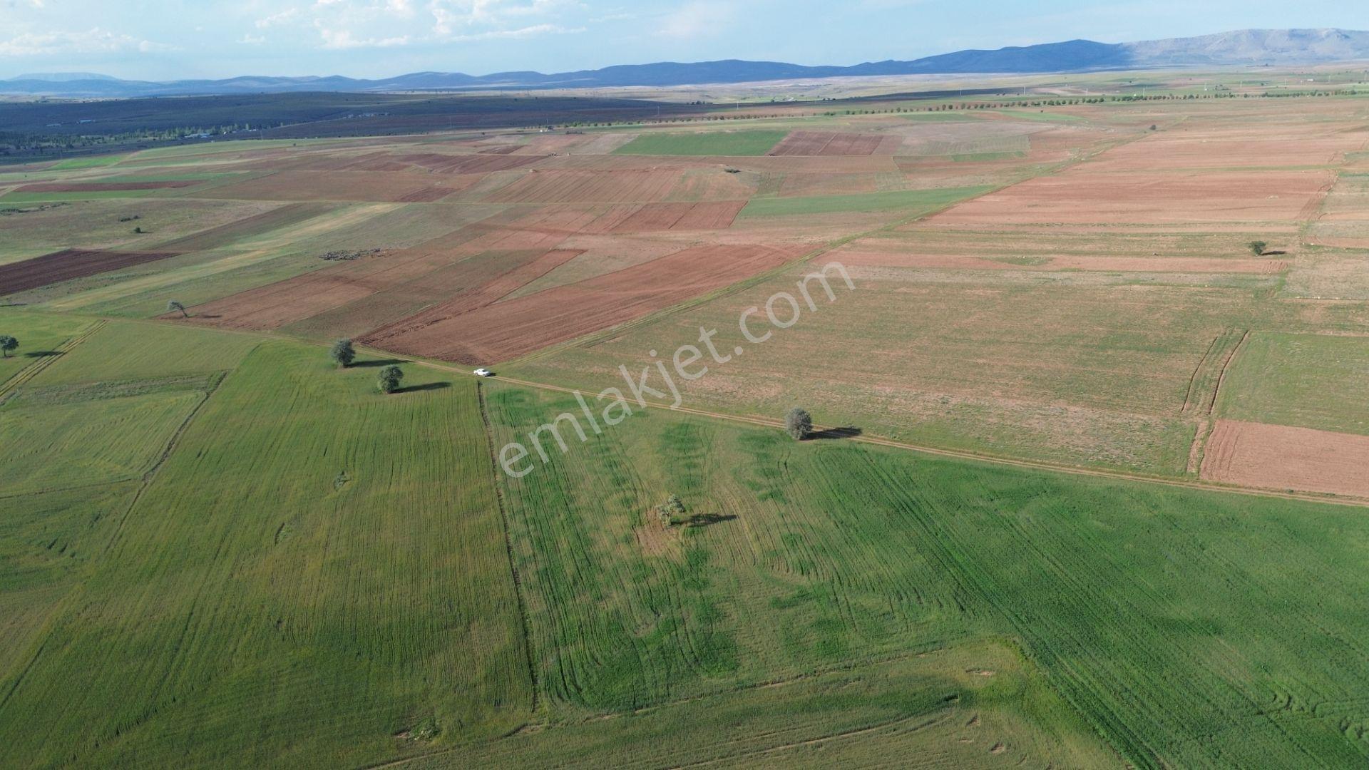Konya / Akören / Hacılar Mahallesinde 8.892 M² Müstakil Tapulu Tarla - Görsel 16