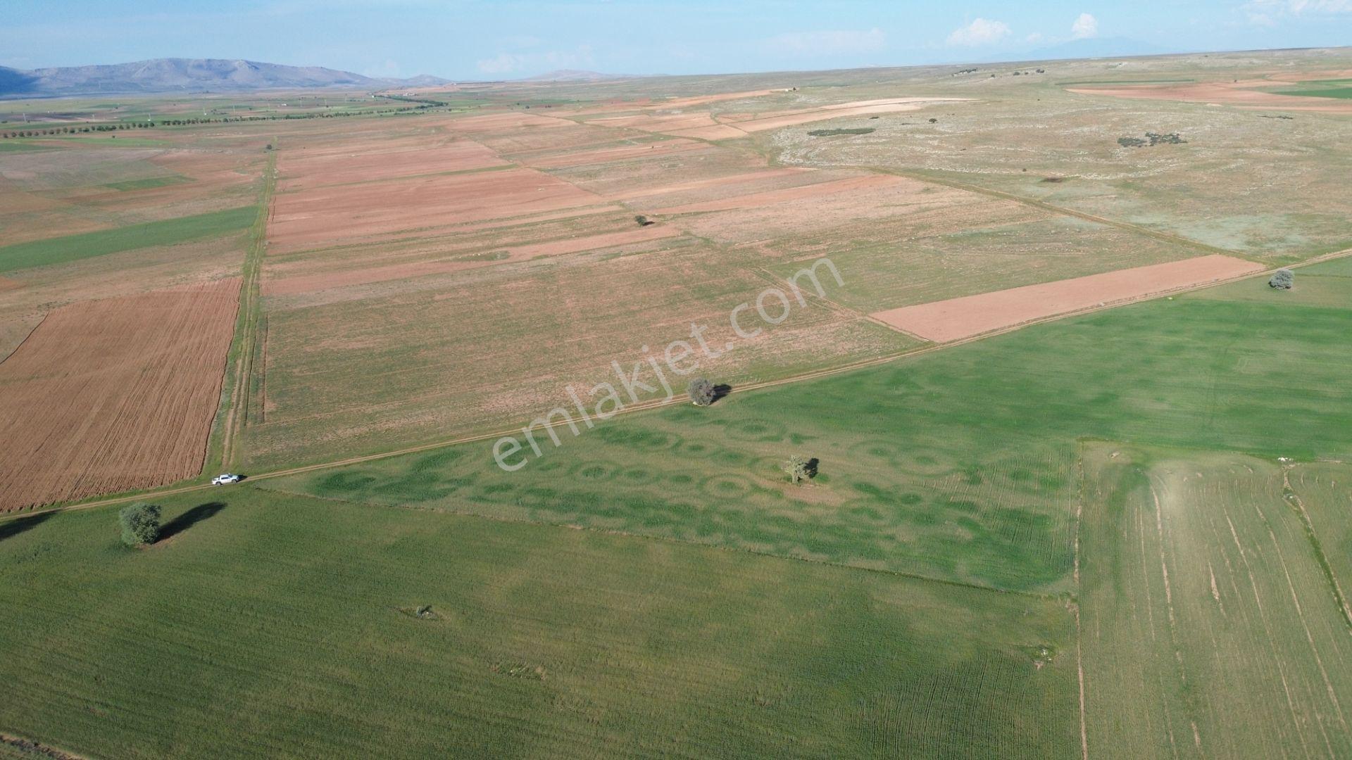 Konya / Akören / Hacılar Mahallesinde 8.892 M² Müstakil Tapulu Tarla - Görsel 11