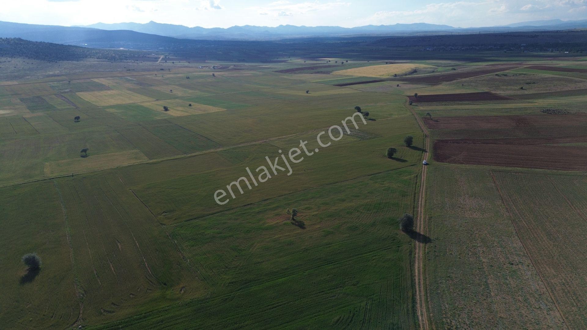 Konya / Akören / Hacılar Mahallesinde 8.892 M² Müstakil Tapulu Tarla - Görsel 23