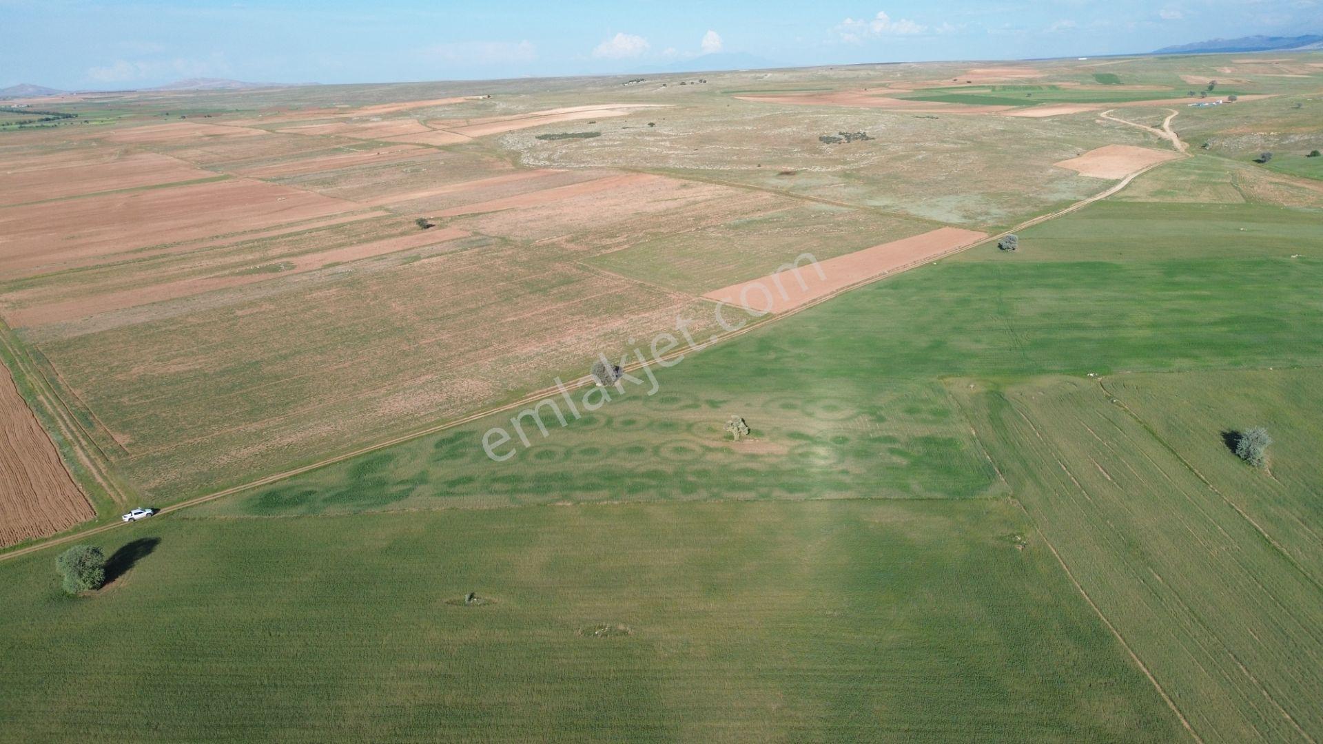 Konya / Akören / Hacılar Mahallesinde 8.892 M² Müstakil Tapulu Tarla - Görsel 10