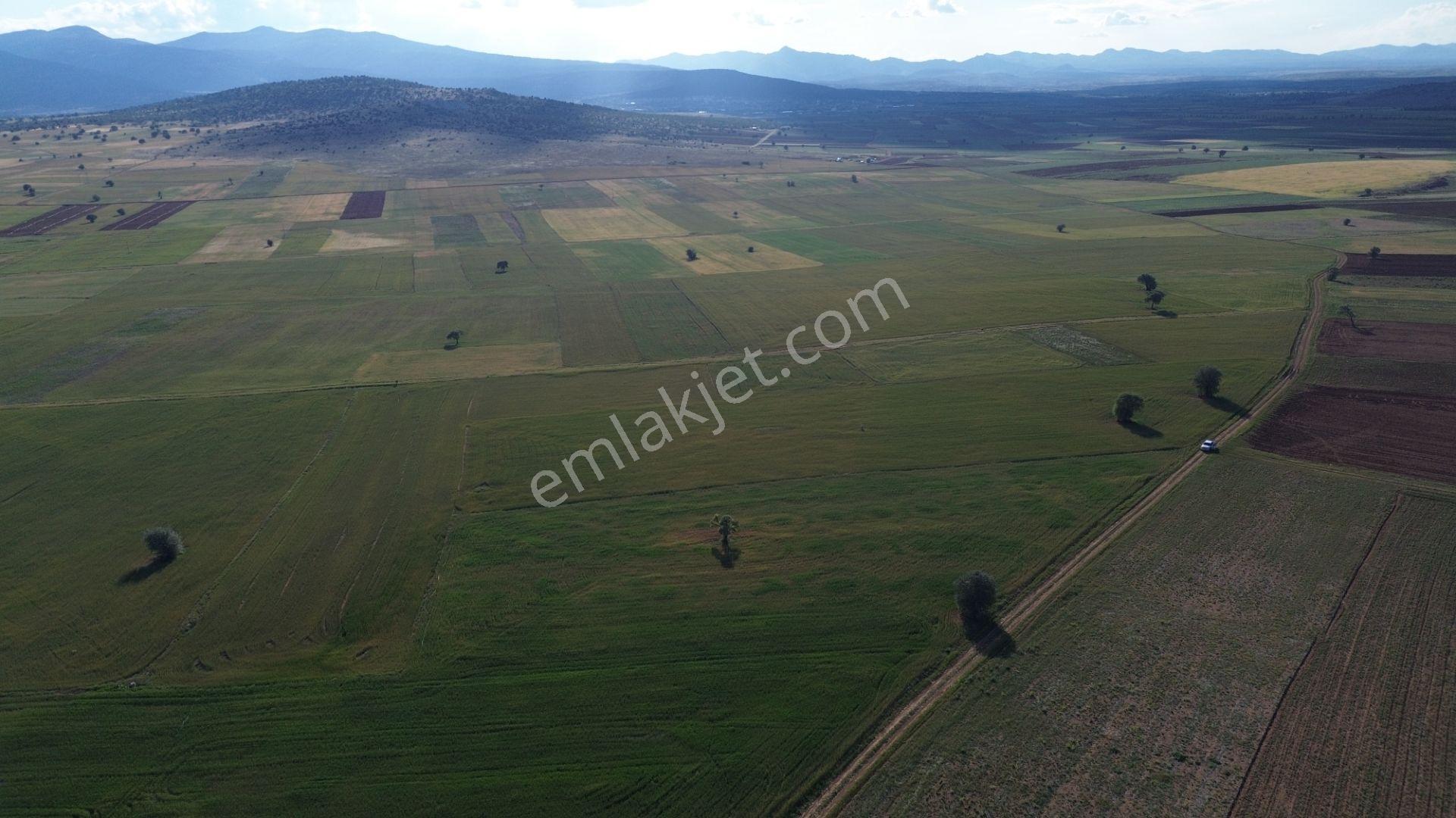 Konya / Akören / Hacılar Mahallesinde 8.892 M² Müstakil Tapulu Tarla - Görsel 26