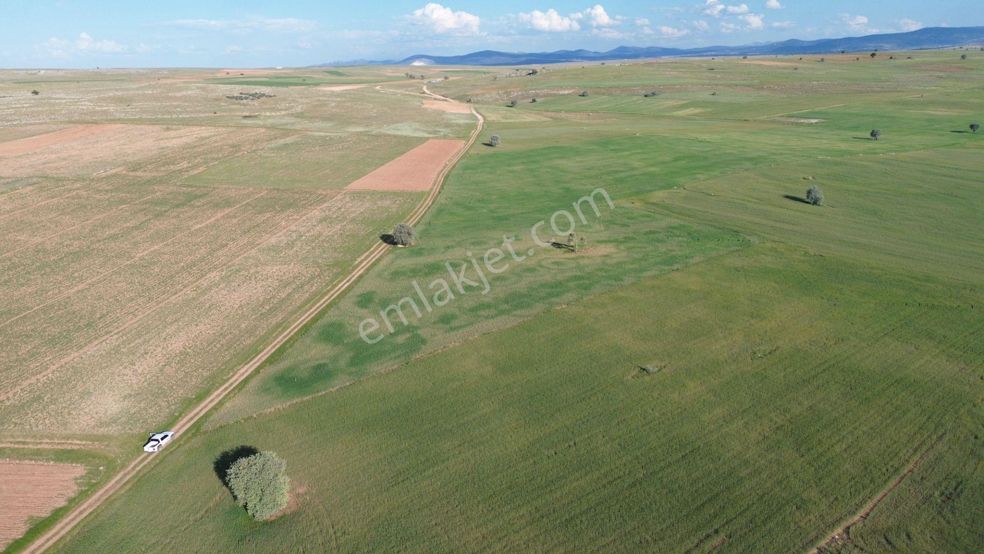 Konya / Akören / Hacılar Mahallesinde 8.892 M² Müstakil Tapulu Tarla - Görsel 6