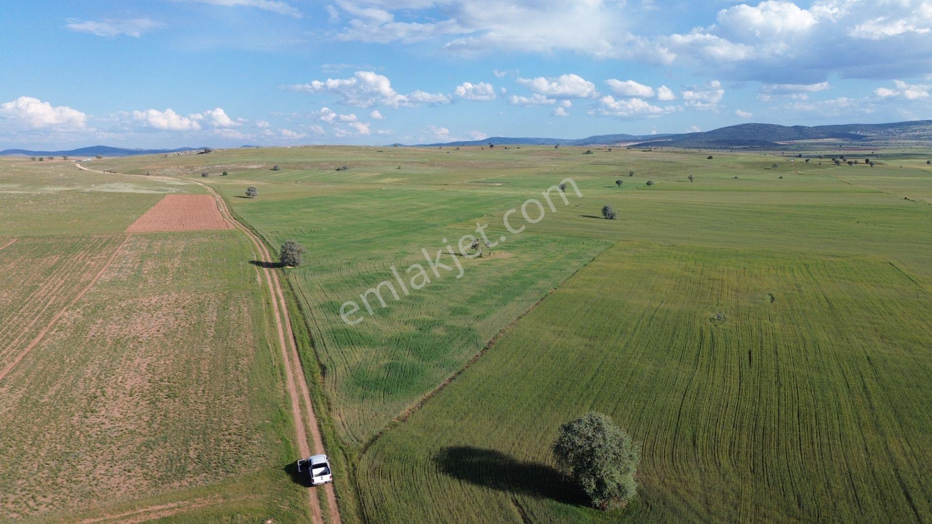 Konya / Akören / Hacılar Mahallesinde 8.892 M² Müstakil Tapulu Tarla - Görsel 5